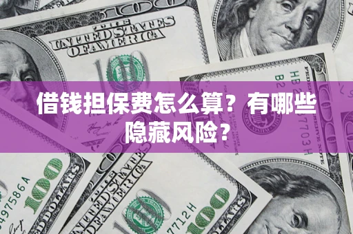 武汉借钱担保费怎么算？有哪些隐藏风险？