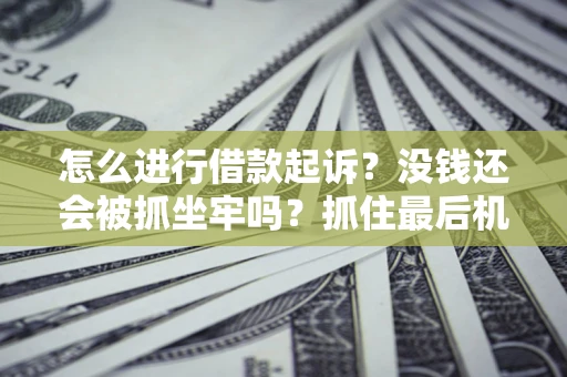 武汉怎么进行借款起诉？没钱还会被抓坐牢吗？抓住最后机会！