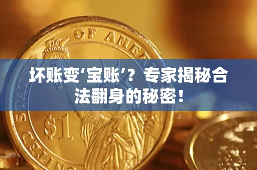 武汉坏账变‘宝账’？专家揭秘合法翻身的秘密！