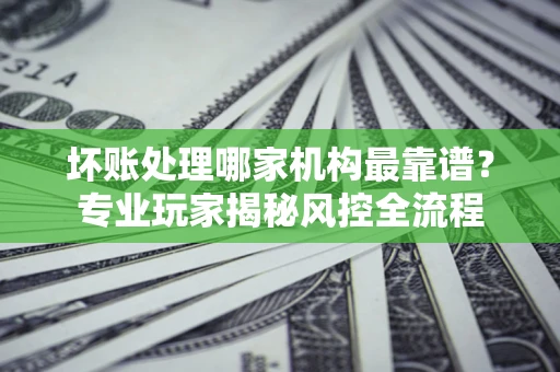 武汉坏账处理哪家机构最靠谱？专业玩家揭秘风控全流程