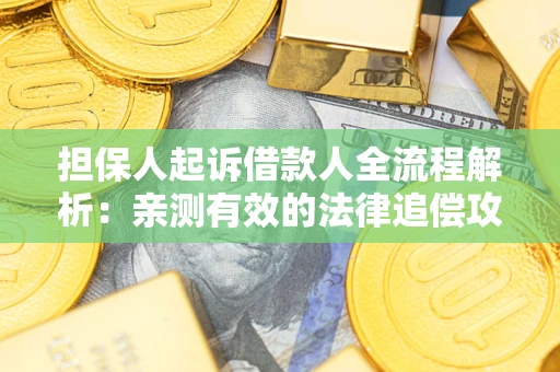 武汉担保人起诉借款人全流程解析：亲测有效的法律追偿攻略