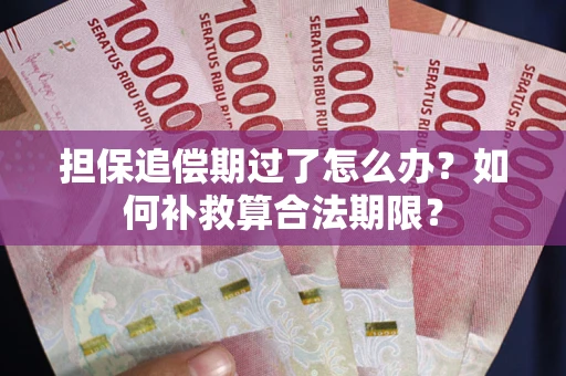 武汉担保追偿期过了怎么办？如何补救算合法期限？