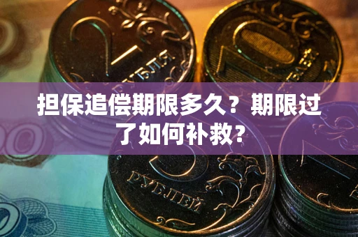 武汉担保追偿期限多久？期限过了如何补救？
