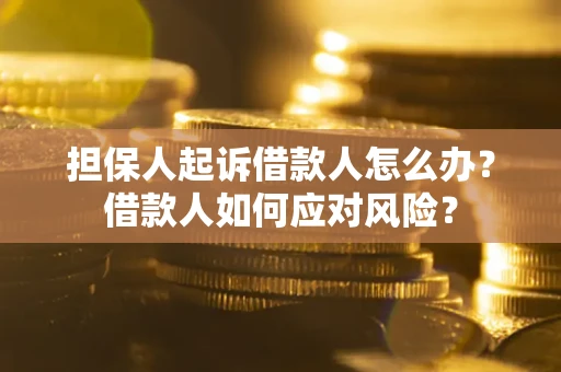 武汉担保人起诉借款人怎么办？借款人如何应对风险？
