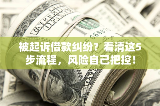 武汉被起诉借款纠纷？看清这5步流程，风险自己把控！