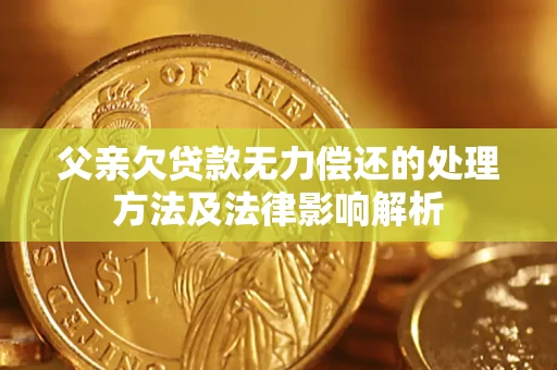武汉父亲欠贷款无力偿还的处理方法及法律影响解析